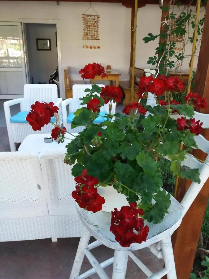 **  Alba Family Club Hotel Primorsko Bulgaria