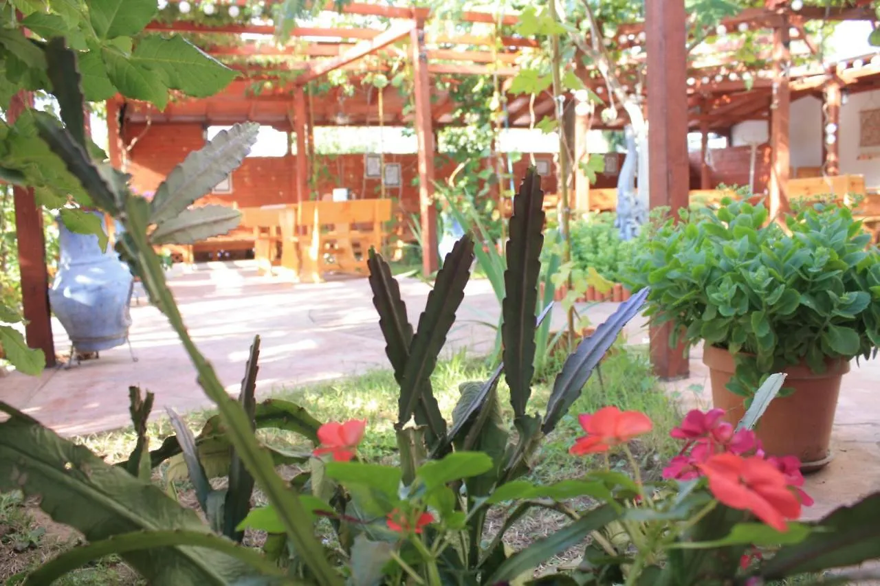 **  Alba Family Club Hotel Primorsko Bulgaria